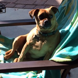 Biggie loves summer vacation!