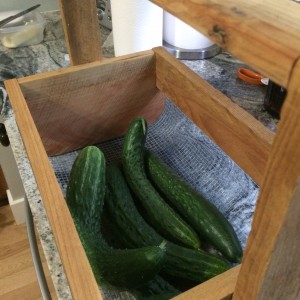 Those are some cool cucumbers, right?